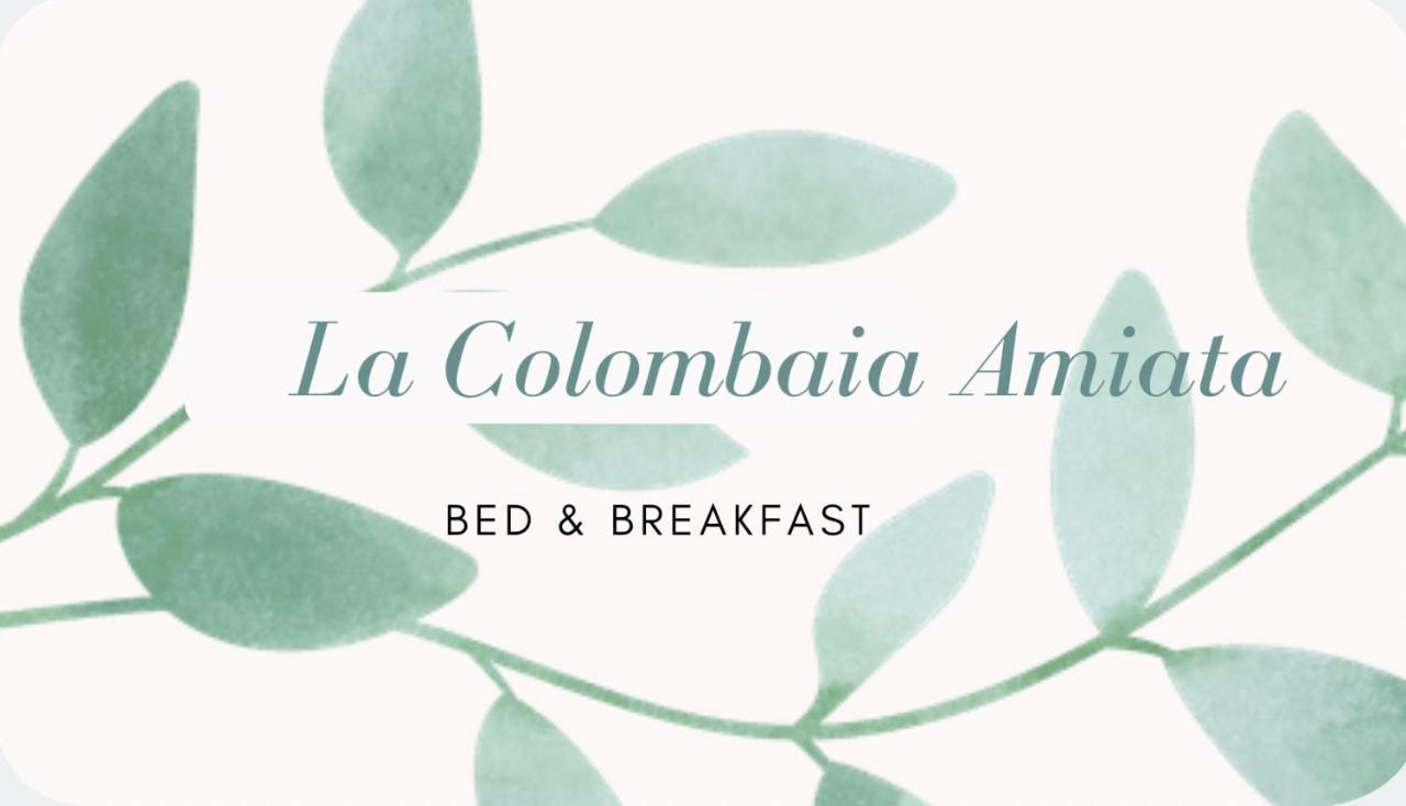 La Colombaia Amiata Bed & Breakfast Арчидосо Екстериор снимка