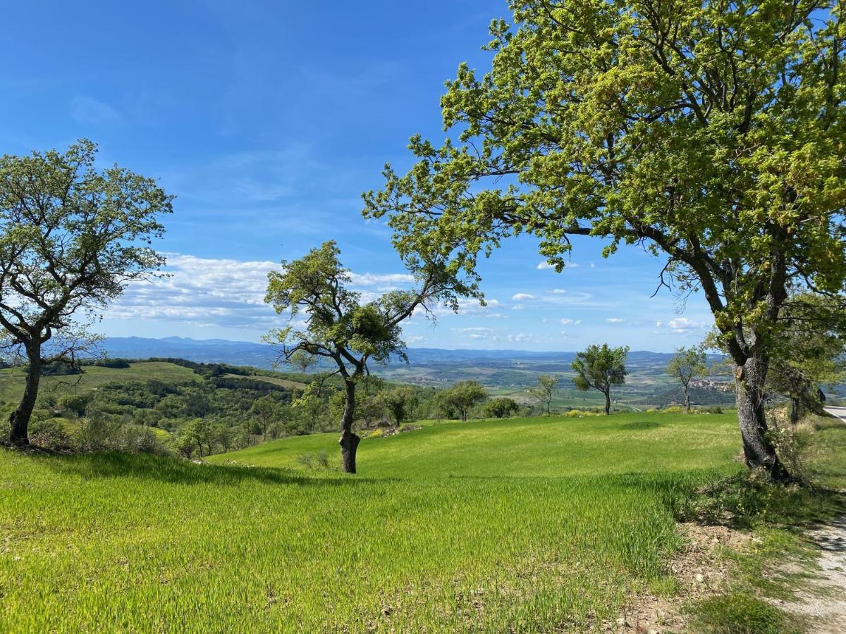 La Colombaia Amiata Bed & Breakfast Арчидосо Екстериор снимка